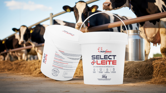 SELECT + LEITE - 2Kg